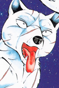 Shirogane Kyoushirou