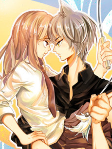 A World Ruled by Cats