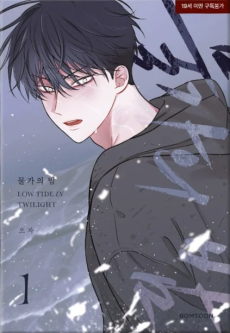 Low Tide in Twilight