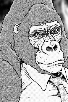 Gorilla Gorilla Gorilla