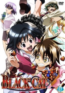 Black Cat: The Distant Cat