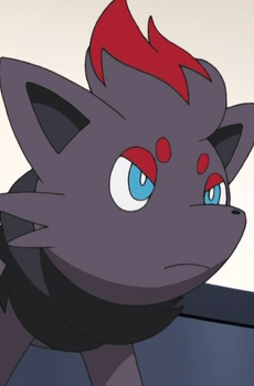 Zorua