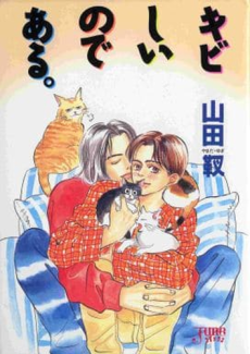 Kibishii no de Aru.