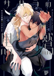 Black Eagle in the Sahara