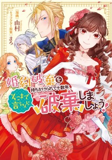 Konyaku Haki wo Mochikakerarete Juusuunen, Soko made iunara Haki Shimashou!