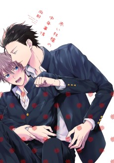 Akai Ringo no Nakami Jijou