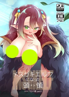 Mesugaki Elf ni Natta Touryou