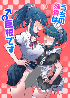 Uchi no Aneki wa Kyokon desu