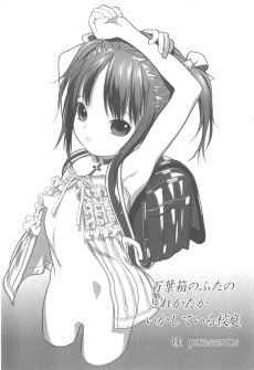 Hyakuyoubako no Futa no Torekata ga Ikashiteru Koutei