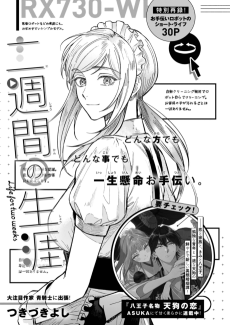 Nishuukan no Shougai