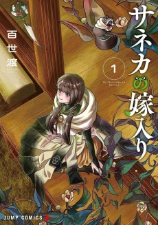 My Marriage to Saneka