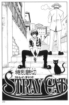 STRAY CAT